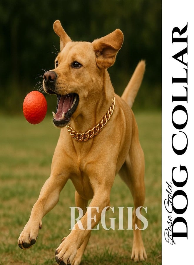 طوق سلسلة فاخر للكلاب، مطلي بالذهب مع حلقات مقطوعة على شكل ماسة، طلاء مقاوم للتشوه (لا يتحول إلى اللون الأسود أبدًا)، إغلاق بقفل ضغط (سلسلة كبيرة الحجم - كبيرة) - Image 4